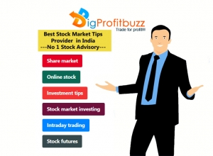 Bigprofitbuzz Stock Market tips Result of the April Month